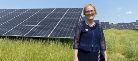 solar-farm-south-farm-voltalia6_orig